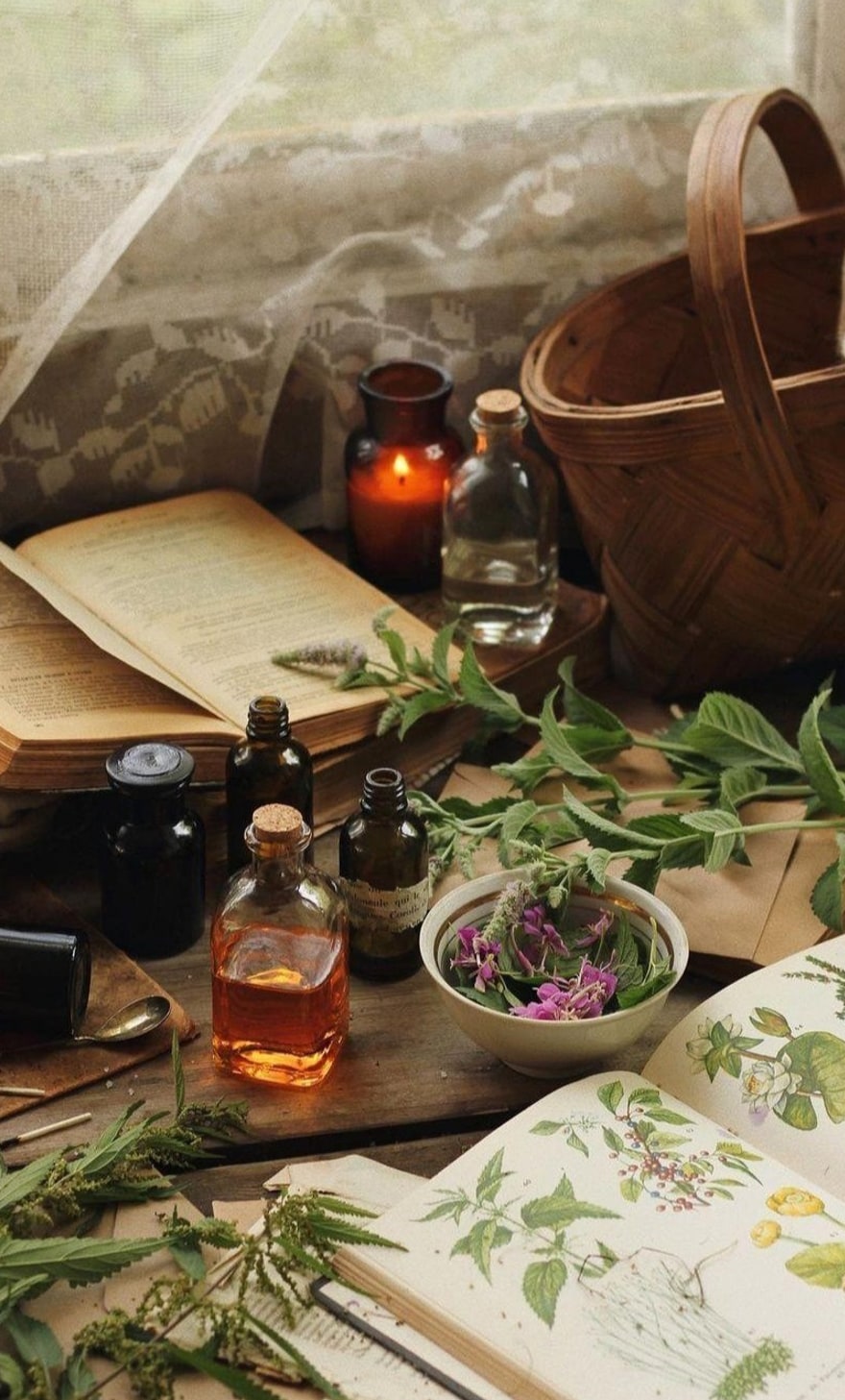 An herbalist's table — old botanical books, dried herbs and apothecary bottles by candlelight